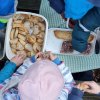 02 Aktion Februar 25 Tiere im Winterwald